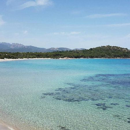 Camping California Pinarellu Dış mekan fotoğraf