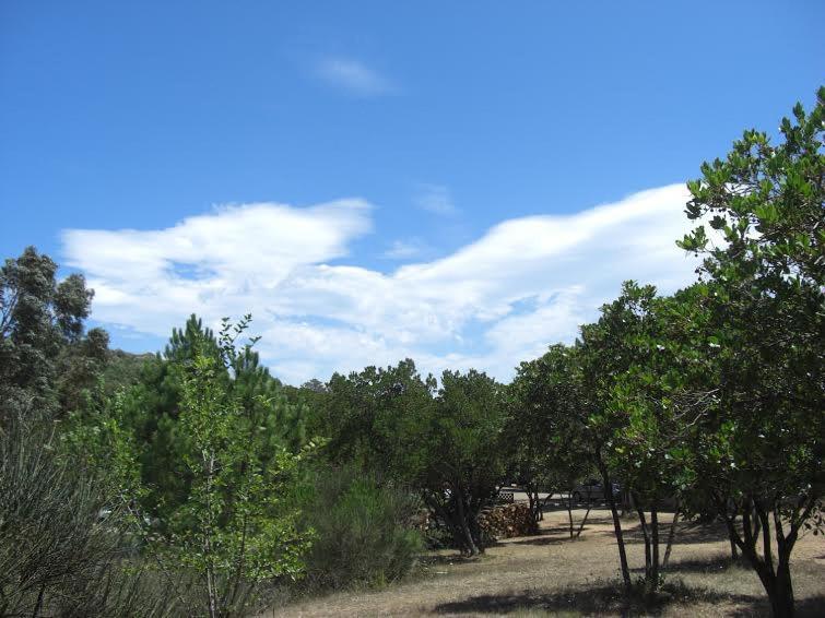 Camping California Pinarellu Dış mekan fotoğraf